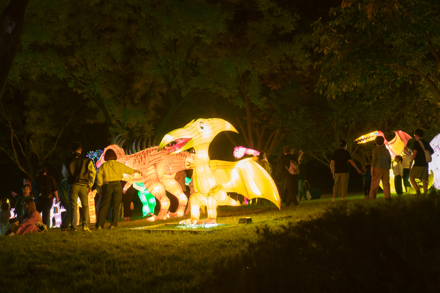 2024년 진주남강유등축제 축제사진
