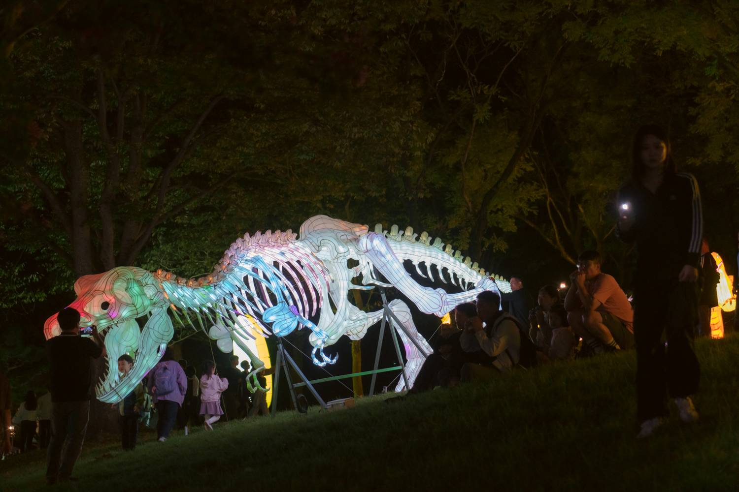 2024년 진주남강유등축제 축제사진