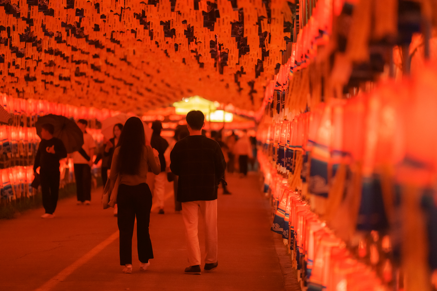 2024년 진주남강유등축제 축제사진