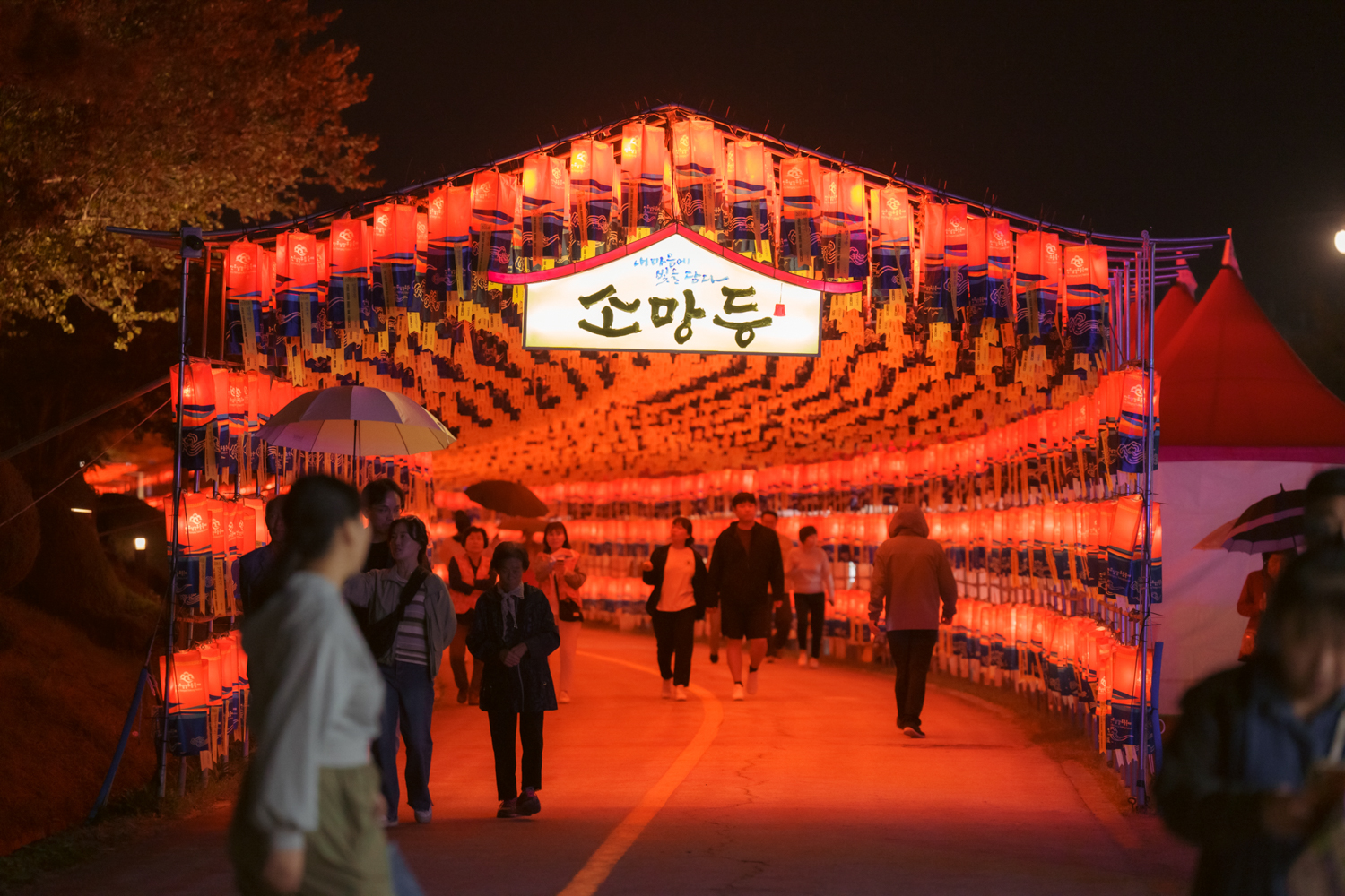 2024년 진주남강유등축제 축제사진