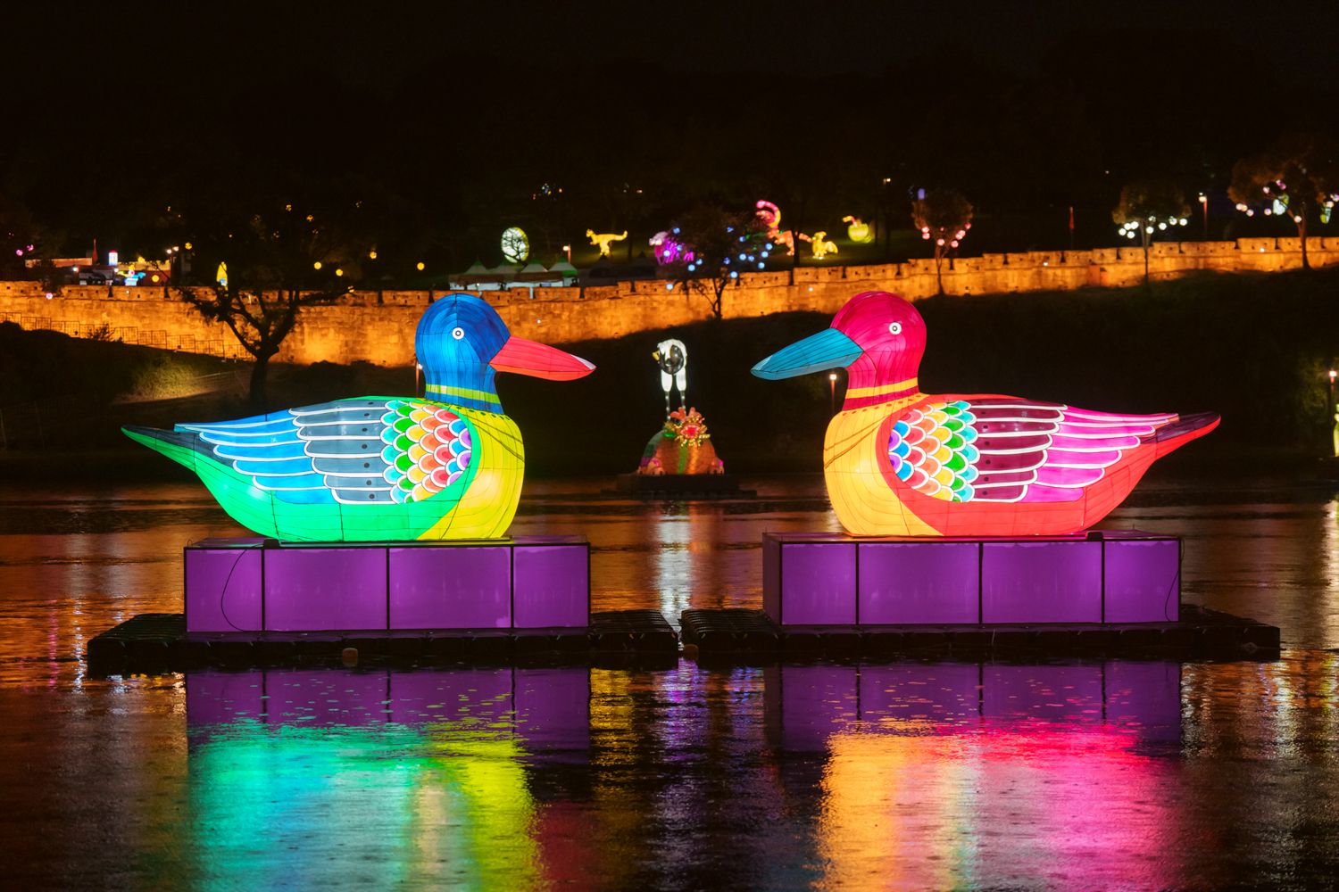 2024년 진주남강유등축제 축제사진