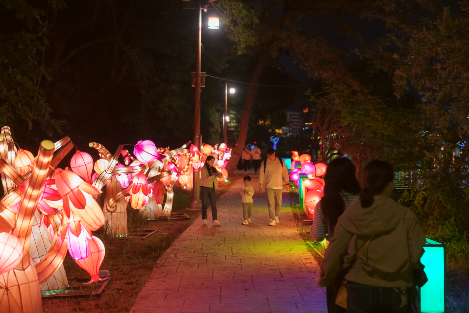 2024년 진주남강유등축제 축제사진