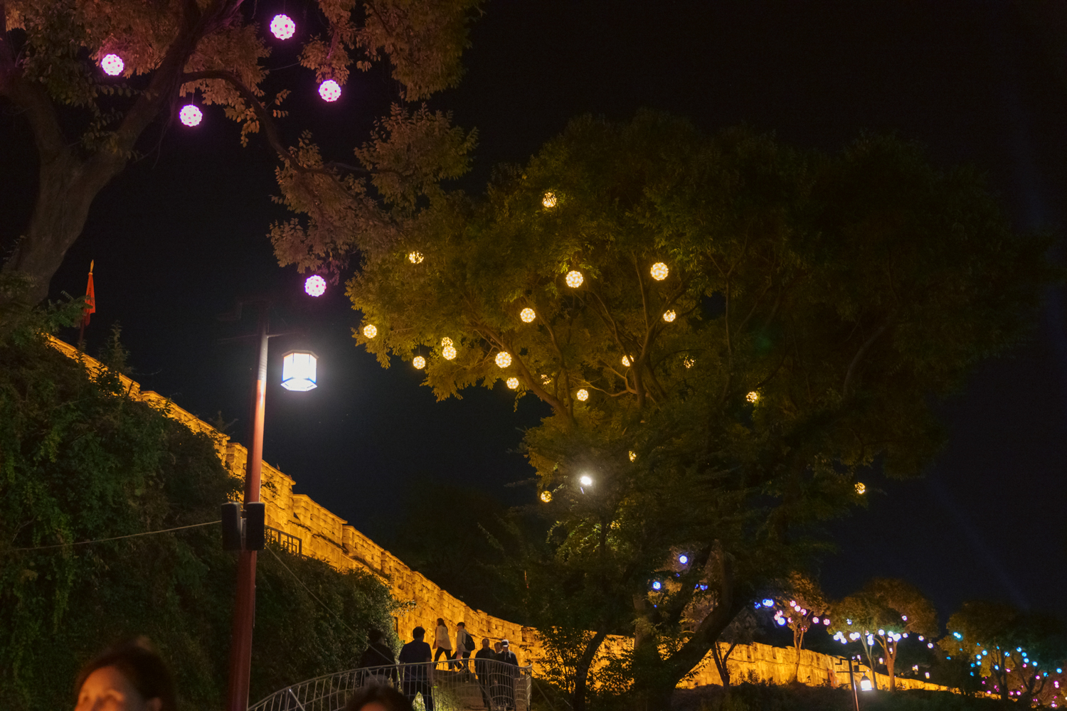 2024년 진주남강유등축제 축제사진