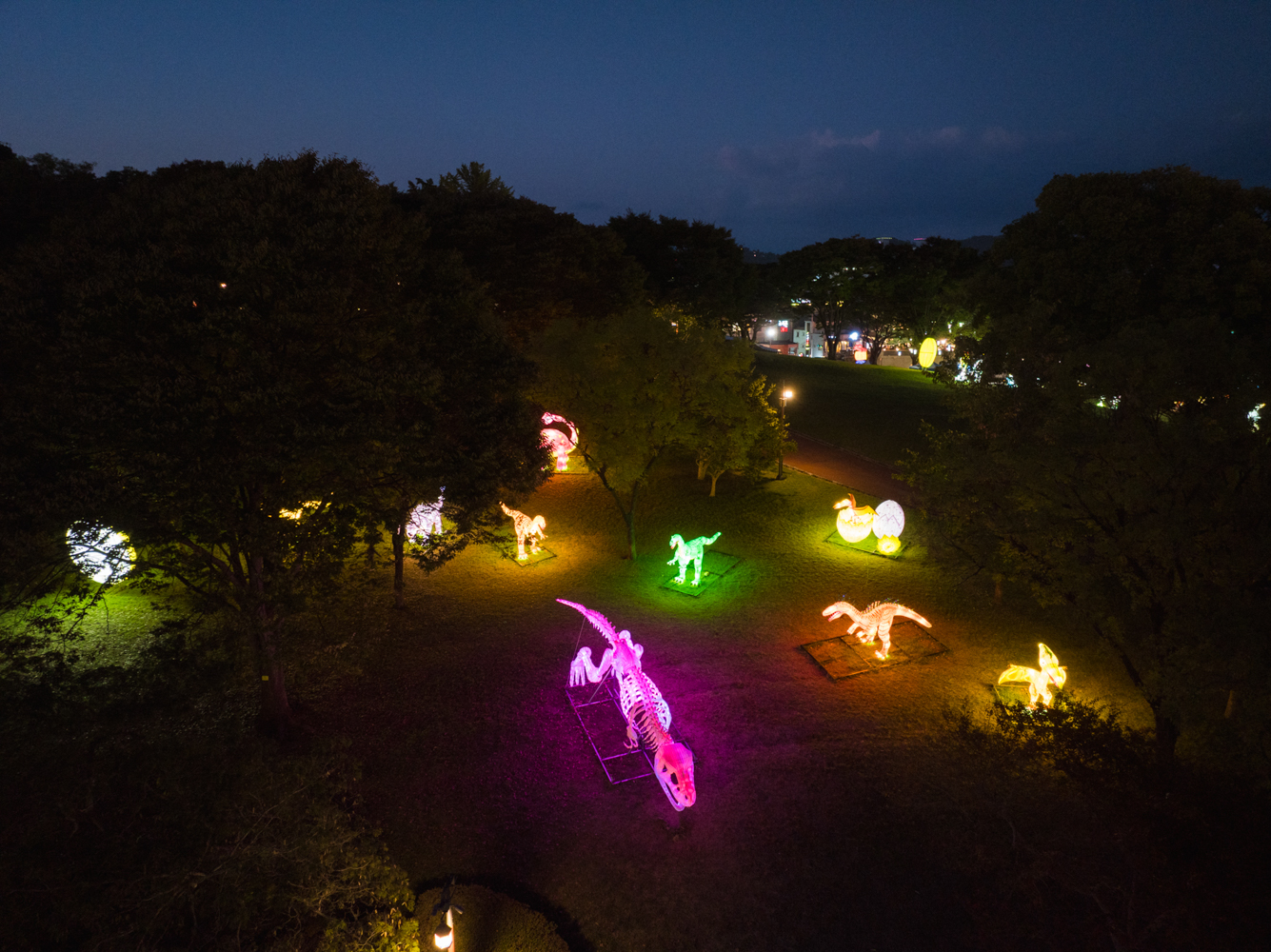 2024년 진주남강유등축제 축제사진