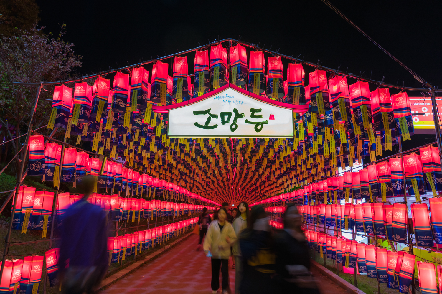 2024년 진주남강유등축제 축제사진