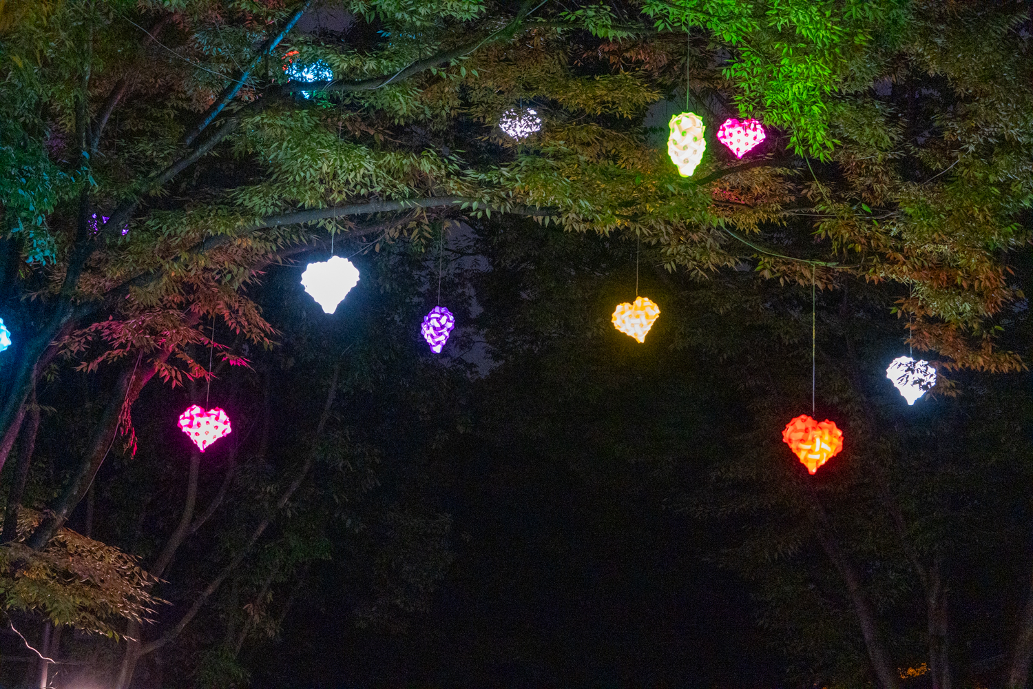 2025년 진주남강유등축제 축제사진