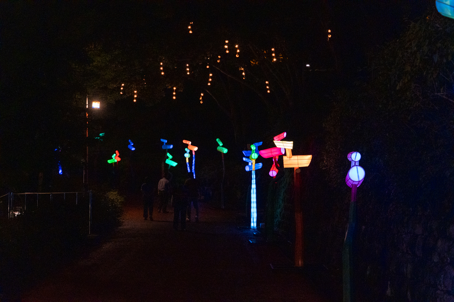 2025년 진주남강유등축제 축제사진