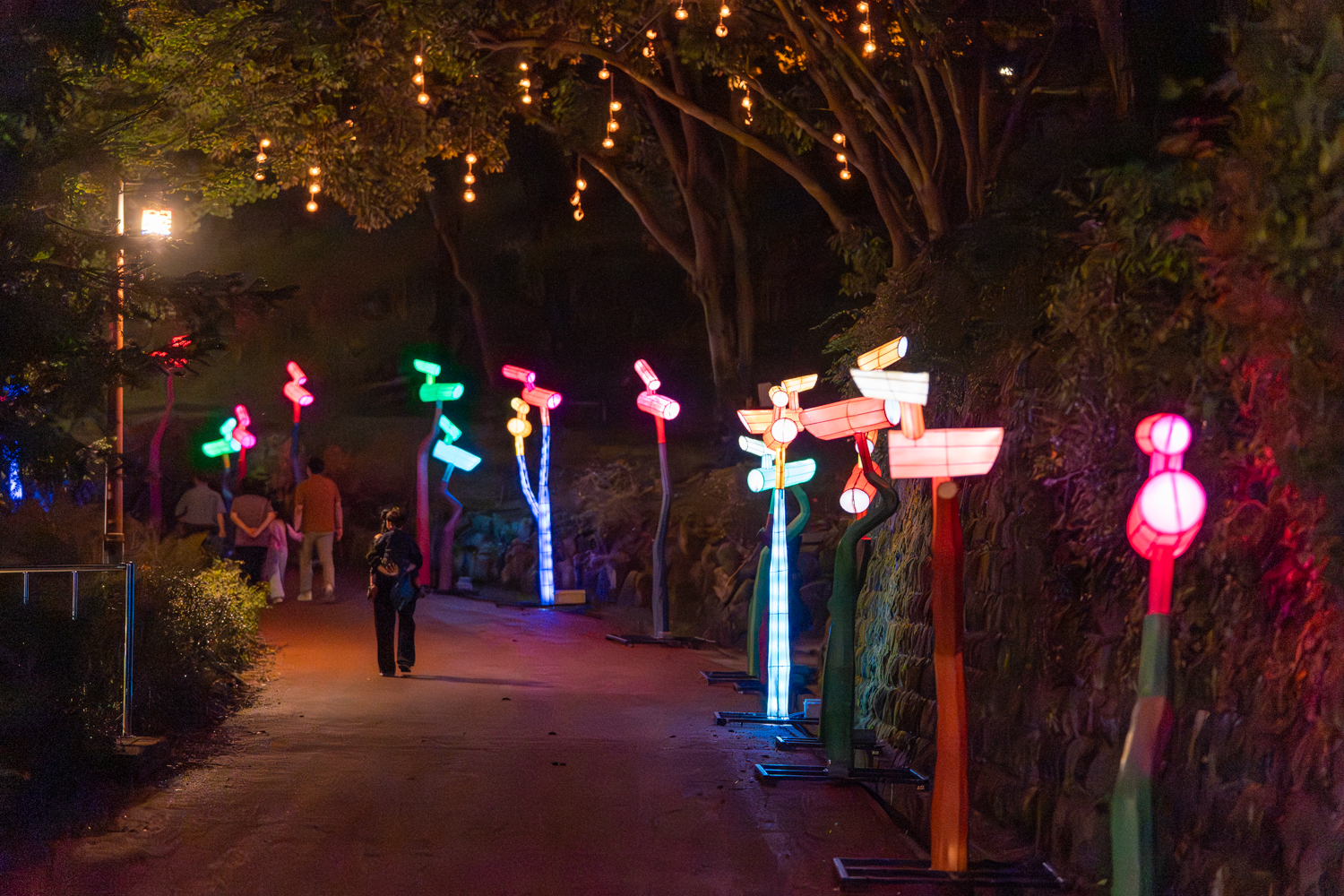 2025년 진주남강유등축제 축제사진