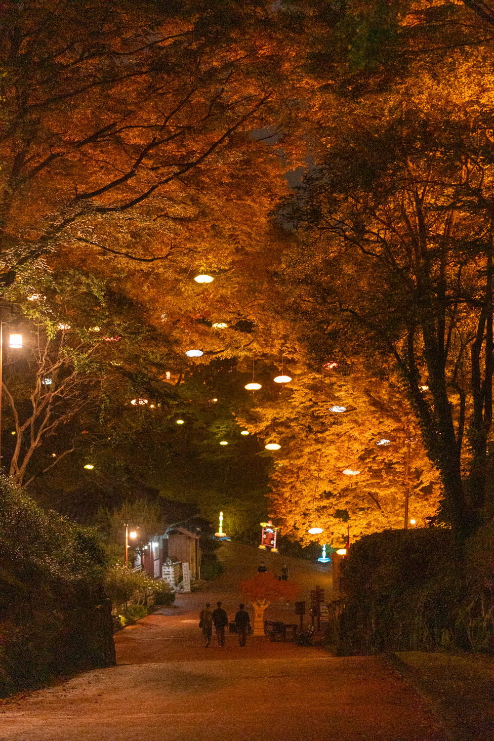 2025년 진주남강유등축제 축제사진
