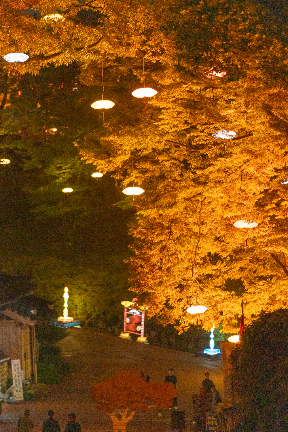 2025년 진주남강유등축제 축제사진