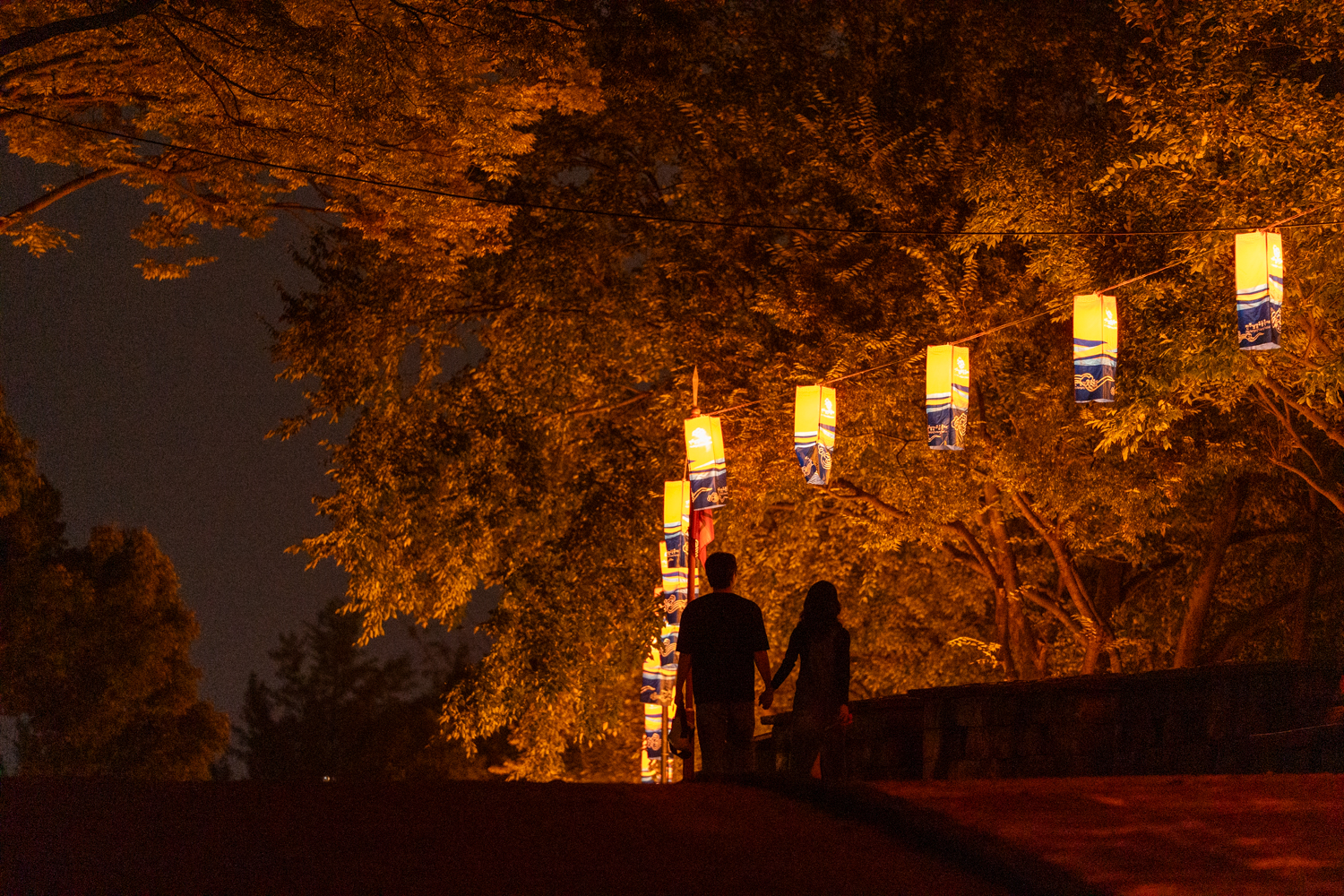 2025년 진주남강유등축제 축제사진