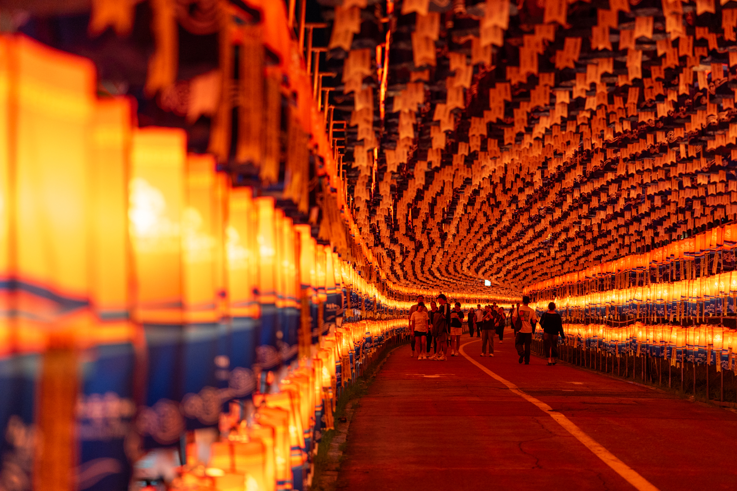 2025년 진주남강유등축제 축제사진